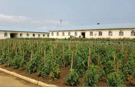 Alojamento dos colaboradores na base de Cabinda